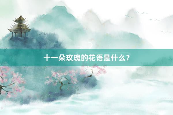 十一朵玫瑰的花语是什么？