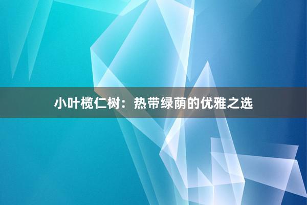 小叶榄仁树：热带绿荫的优雅之选